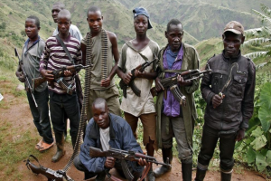 Les FDLR signent un protocole de démilitarisation, démobilisation et cantonnement, annonce Kinshasa