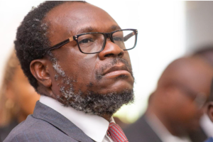 Qualification des Léopards au Mondial 2026 : le parti Envol dénonce le jour chômé et payé