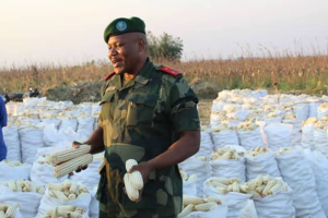 Tensions violentes au Service National de Kaniama Kasese : affrontements entre bâtisseurs et militaires